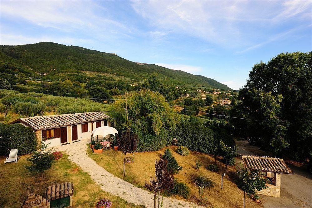 Colle Degli Olivi Snc Guest House Assisi Luaran gambar