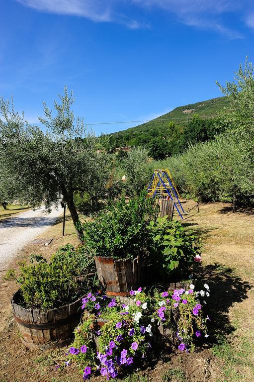 Colle Degli Olivi Snc Guest House Assisi Luaran gambar