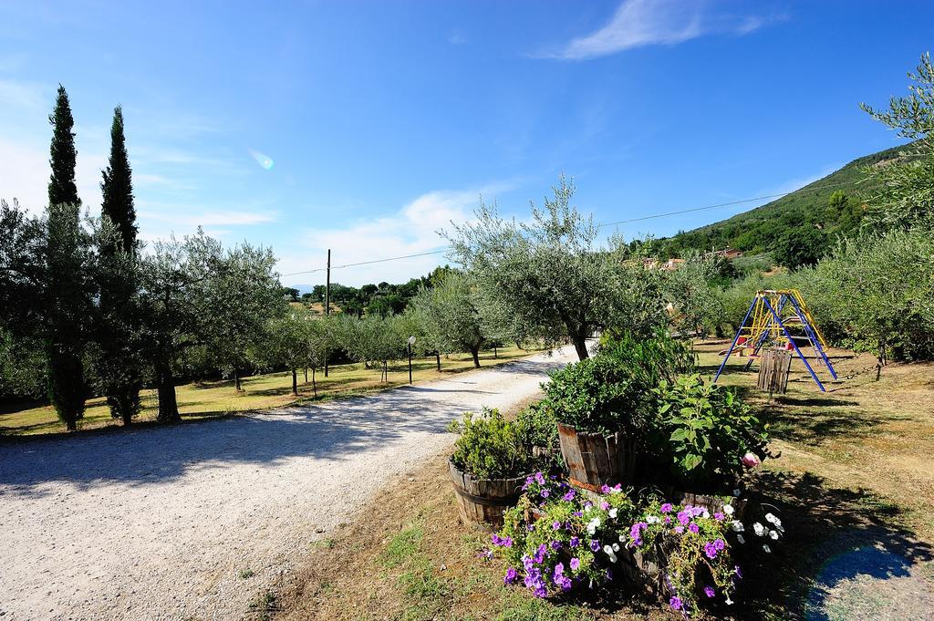 Colle Degli Olivi Snc Guest House Assisi Luaran gambar